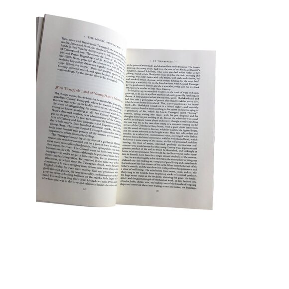 The Magic Mountain Thomas Mann Franklin Library 1979 Limited Ed Leather Illus De - Picture 12 of 15